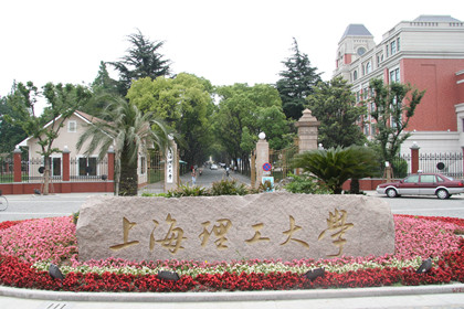 博高羽毛球地胶